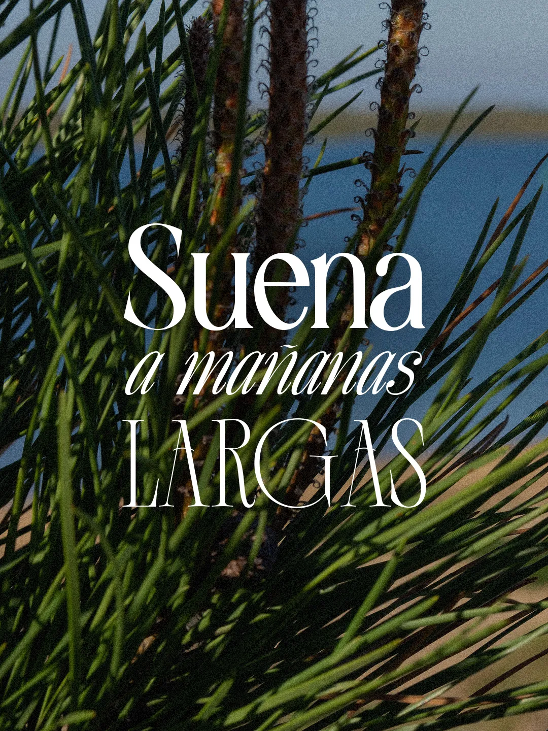 Gráfica de campaña «Suena a mañanas largas»