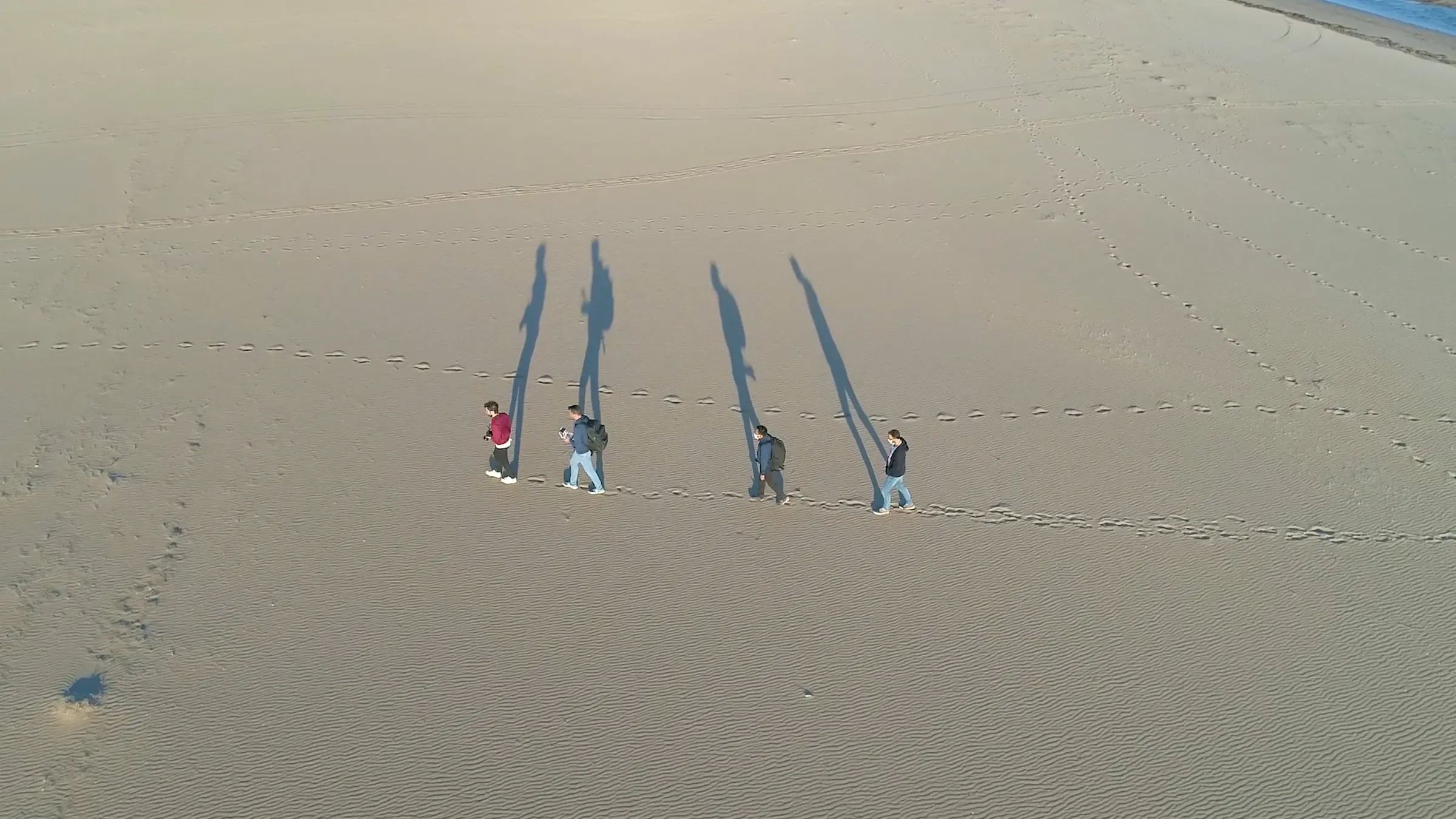 Vista aérea de cuatro personas del equipo caminando por la playa al atardecer, con sombras largas