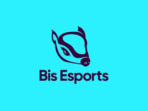 Bis Esports